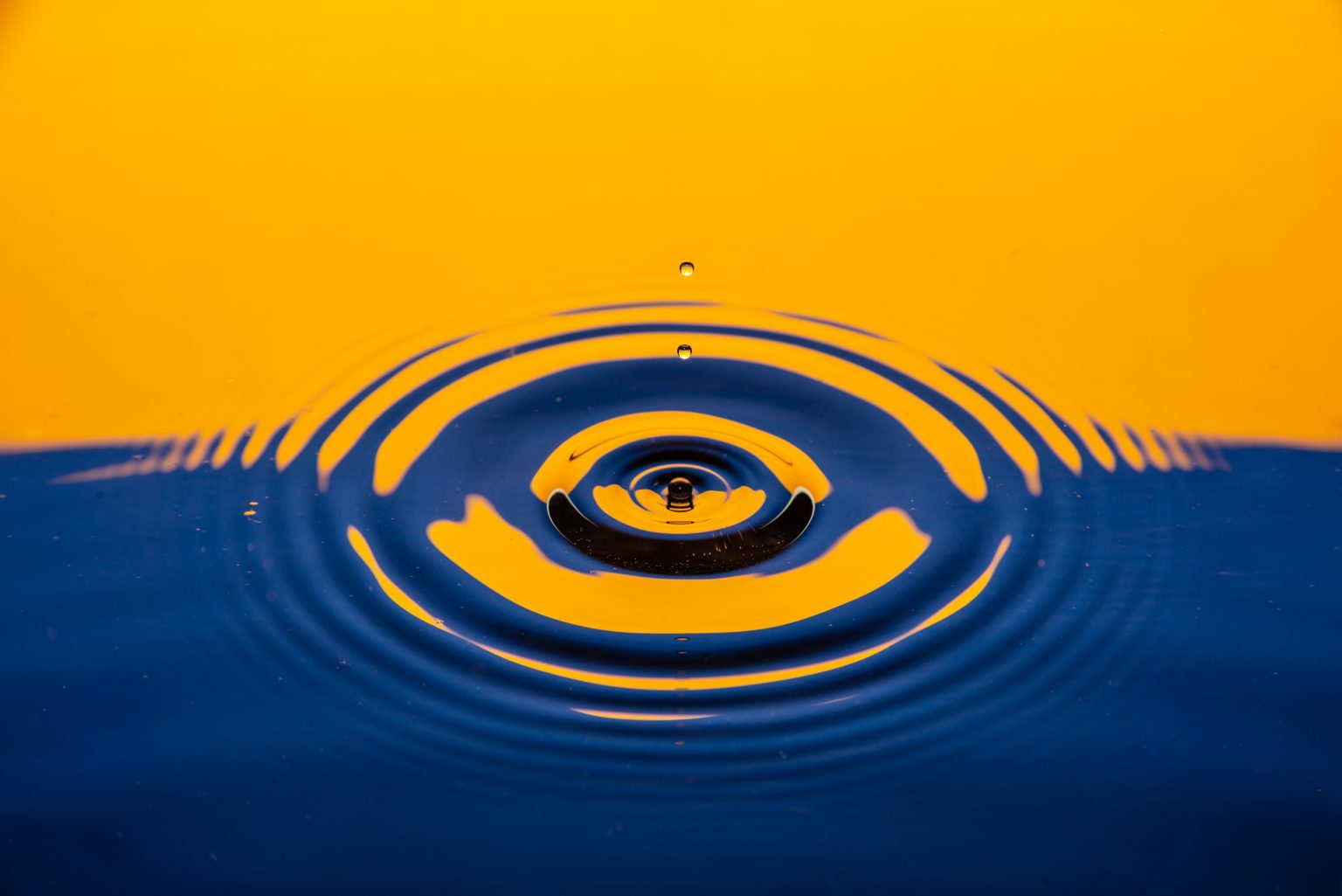 How The Water Market Can Help Your Business blue and orange inflatable boat