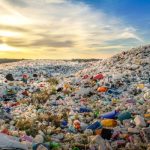 Revealed: How Companies Can Limit What They Send to Landfills