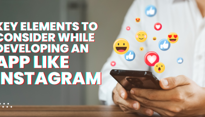 Key Elements to Consider while Developing an app like Instagram