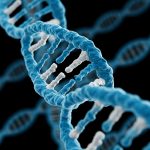 Tissue Homogenizers: Mechanisms, Applications, and the Bullet Blender Advantage