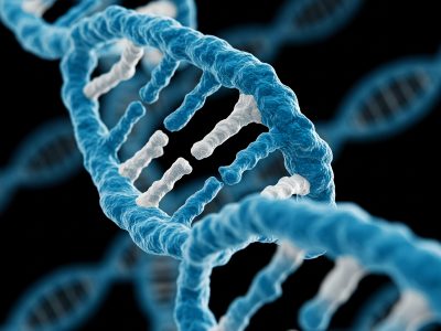 Tissue Homogenizers: Mechanisms, Applications, and the Bullet Blender Advantage