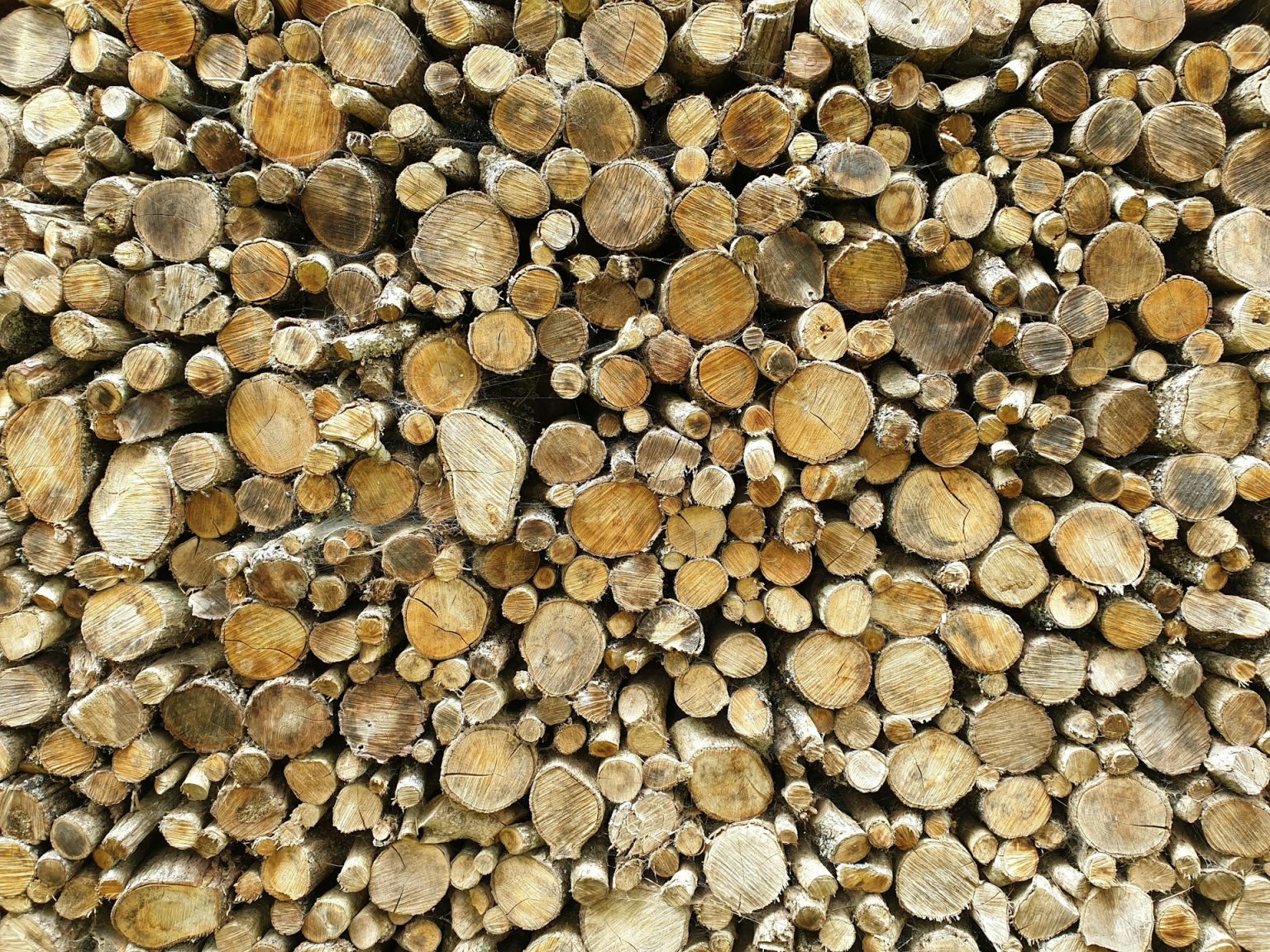 Flavio Maluf Talks Eucatex's Sustainable Model for the Wood Industry