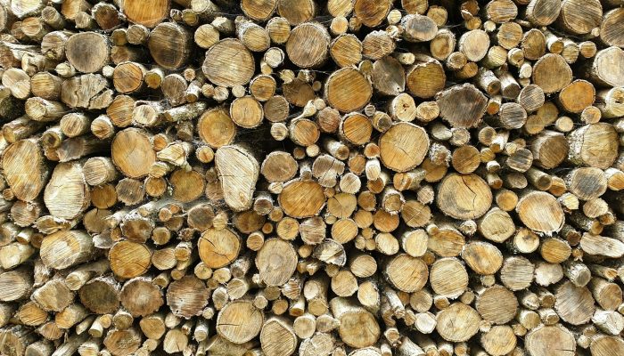 Flavio Maluf Talks Eucatex's Sustainable Model for the Wood Industry