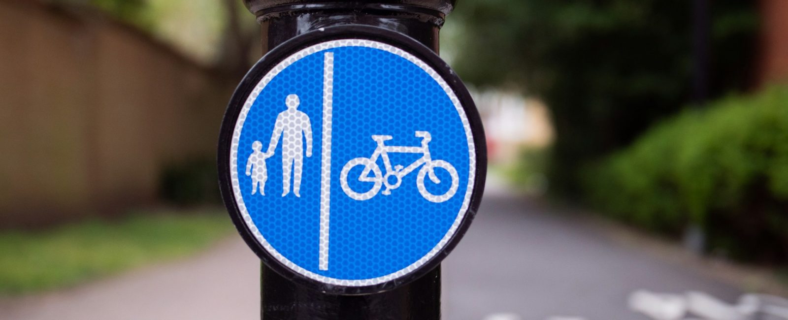 Safe Steps: Fun Ways to Learn Pedestrian Safety