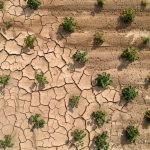 Combating Drought with Satellite Data