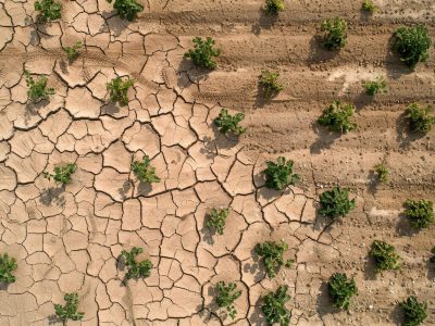 Combating Drought with Satellite Data