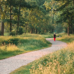 Walks in Nature