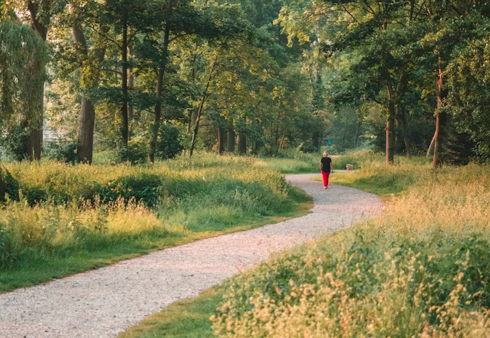 Walks in Nature