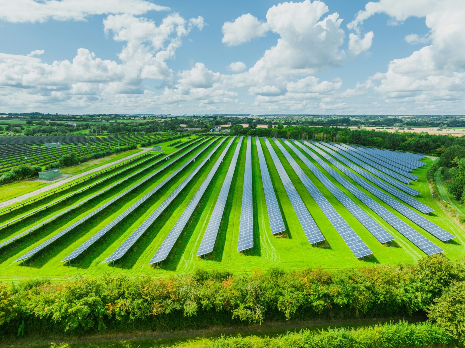 How to Make Your Business Carbon Neutral Steps to Building a Carbon Neutral Business